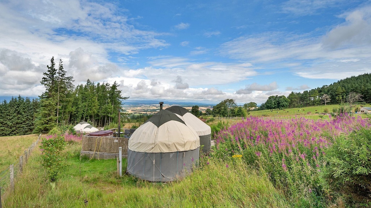Photo of Outdoor in Auchterarder