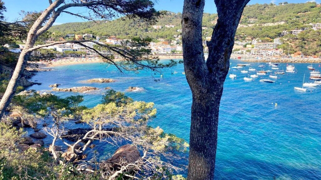 Photo of Others in Llafranc