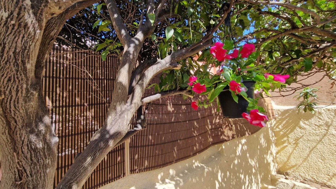 Photo of Outdoor in La Maddalena