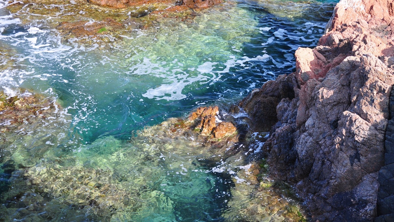 Photo of Others in Sant Feliu de Guixols