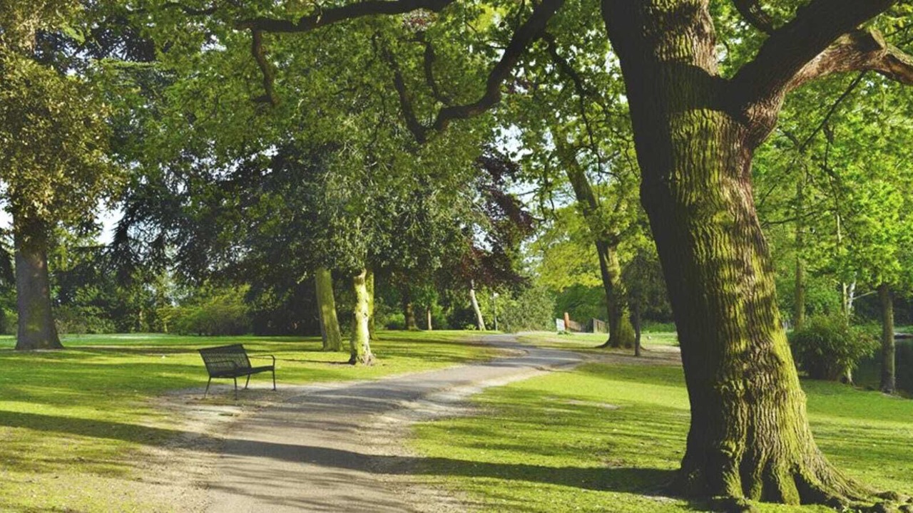 Photo of Outdoor in Redbridge