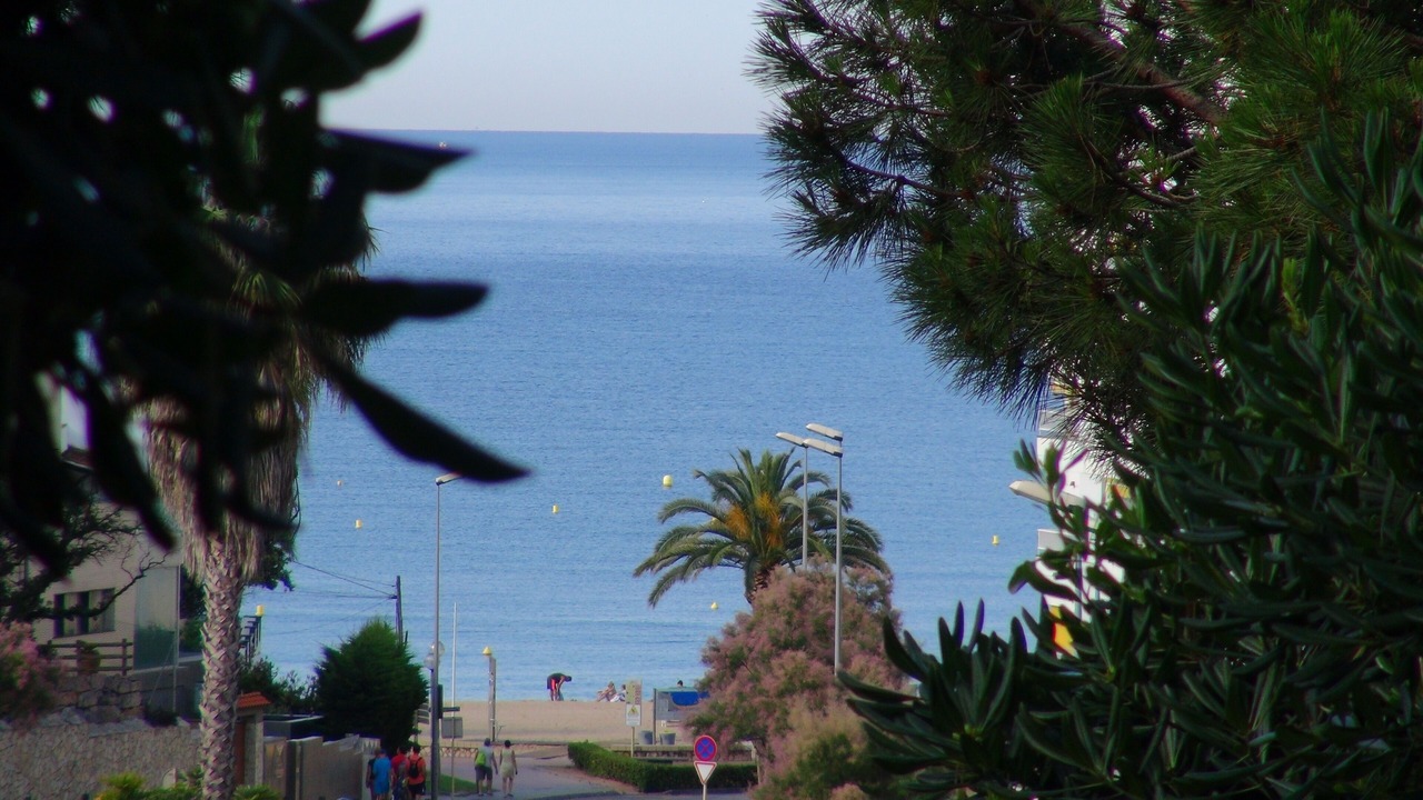 Photo of Others in Lloret de Mar