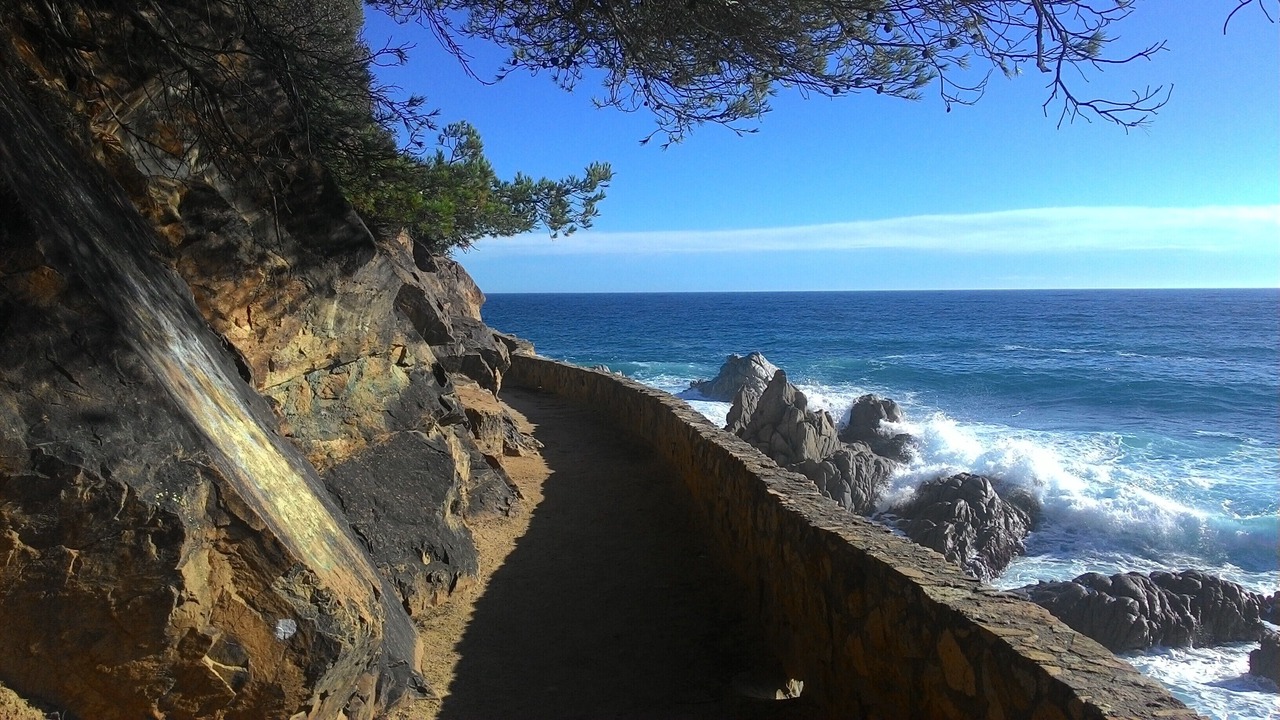 Photo of Others in Lloret de Mar