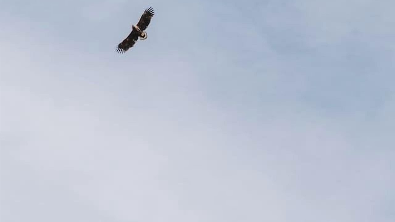 Photo of Others in Calgary