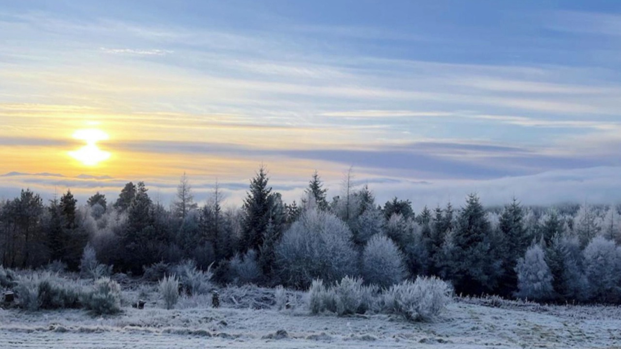 Photo of Others in Lairg