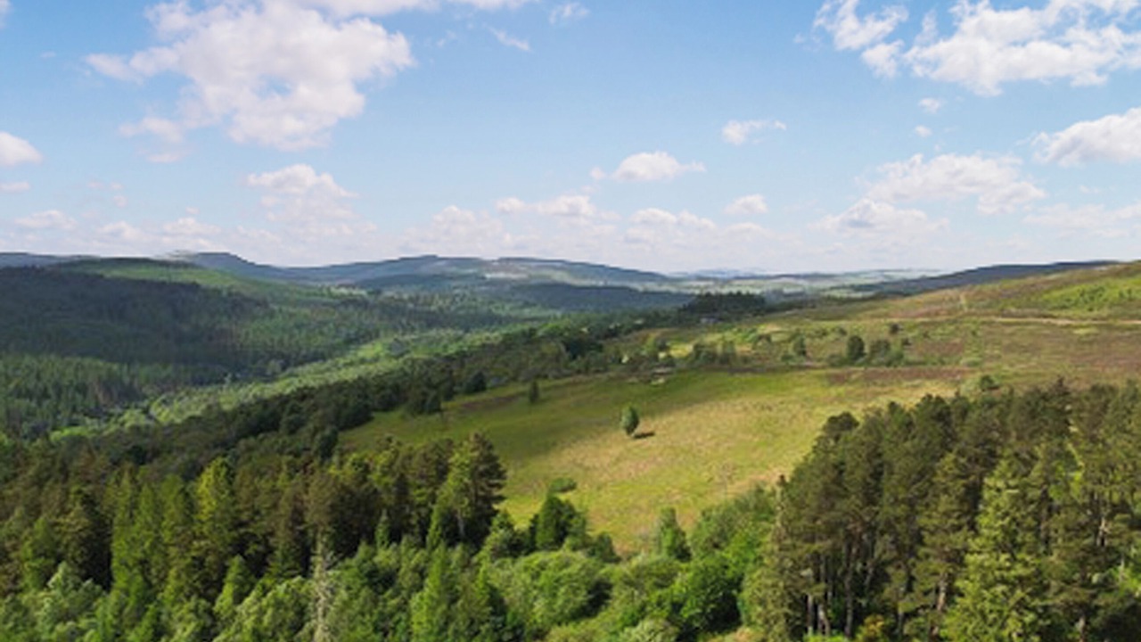 Photo of Others in Lairg