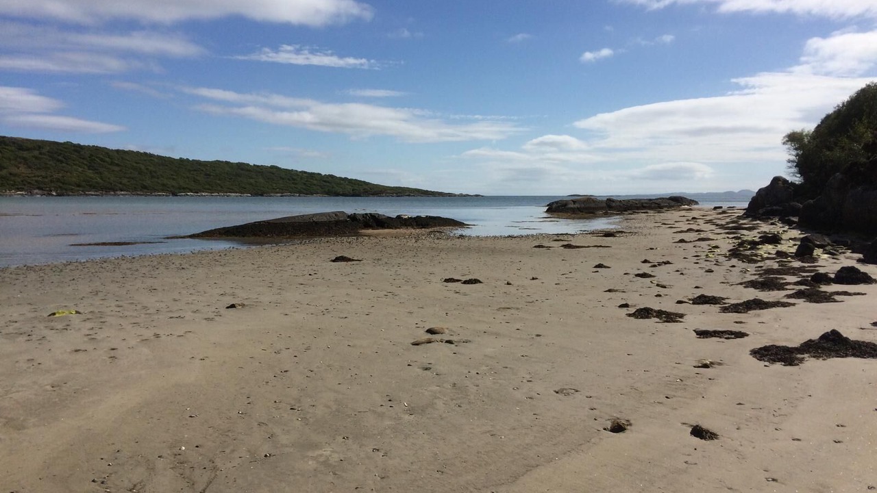 Photo of Others in Tarbert