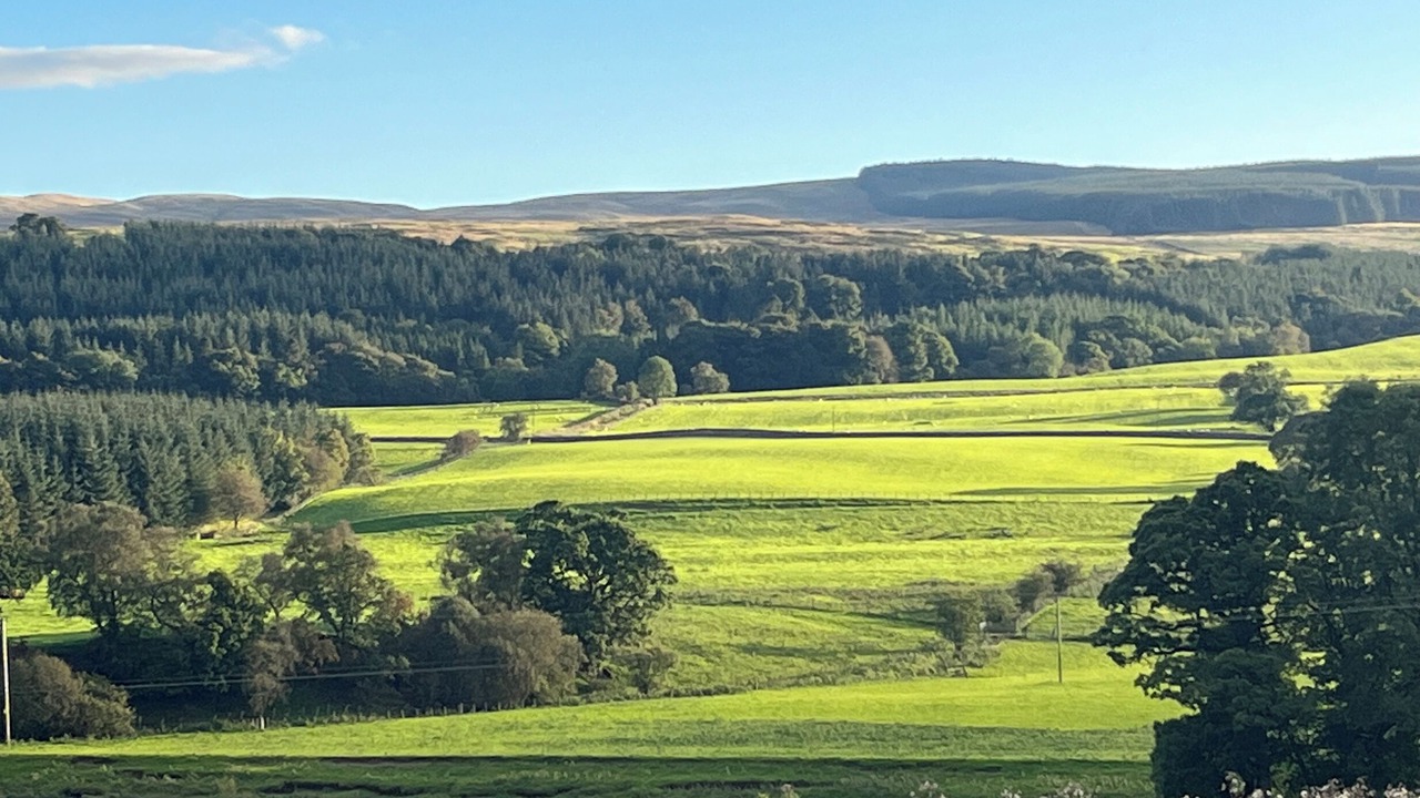 Photo of Others in Sanquhar