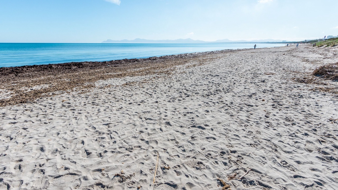 Photo of Others in Alcudia