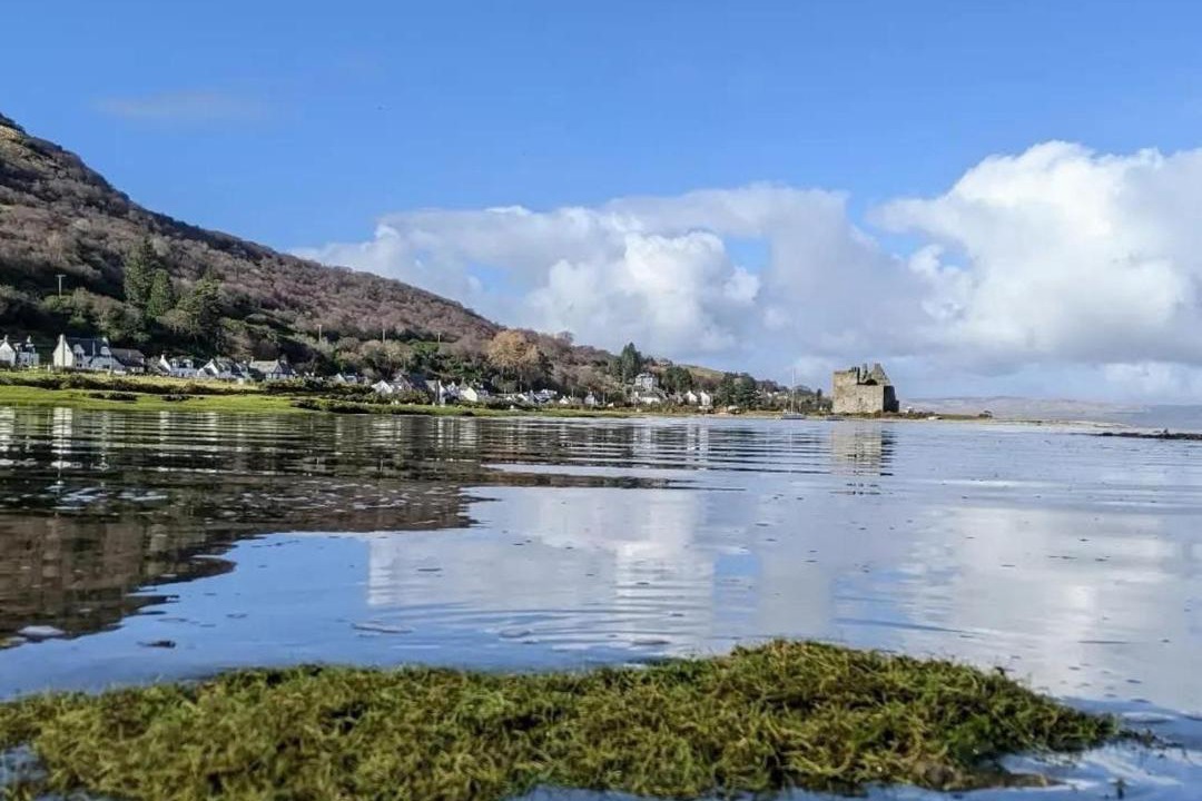 Photo of Others in Lochranza