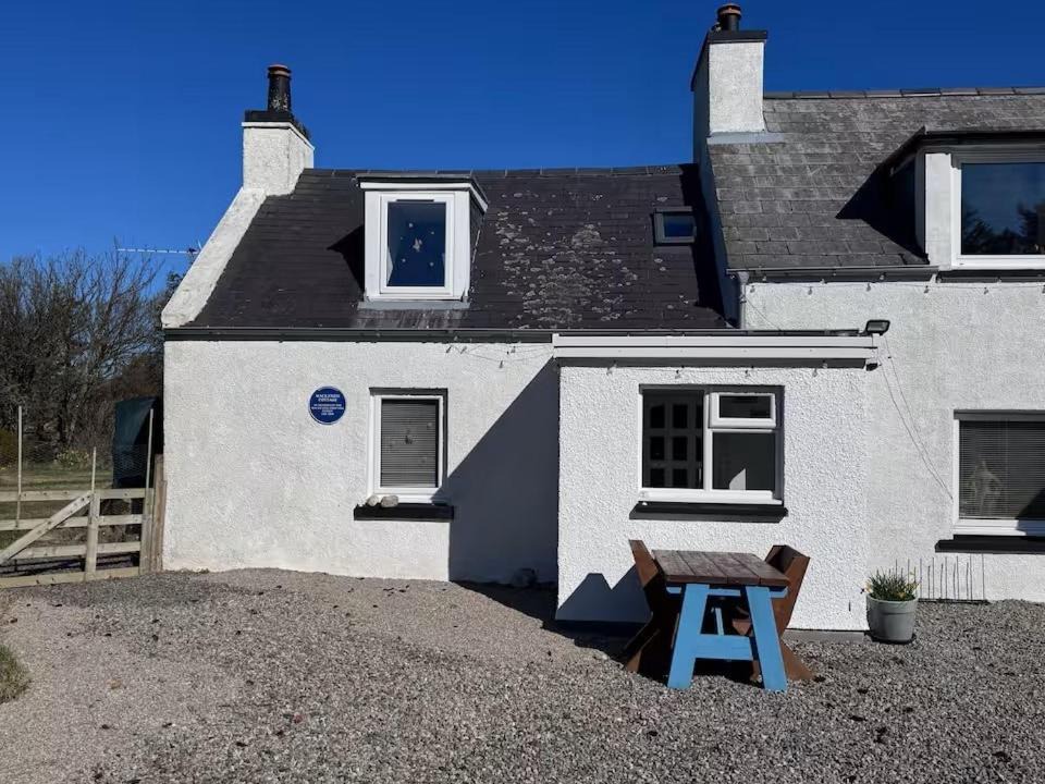 Photo of Others in Oldshoremore