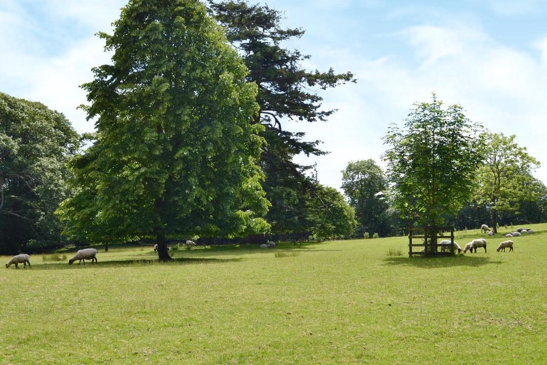 Photo of Others in Westleigh