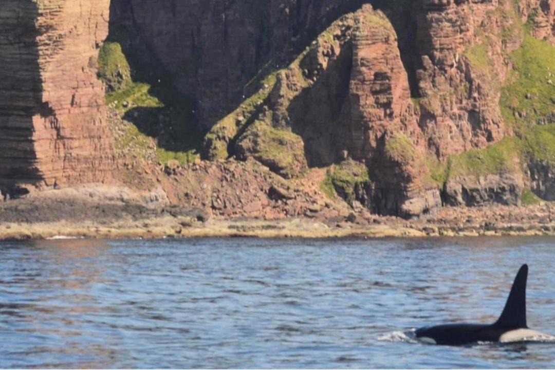 Photo of Others in Stromness