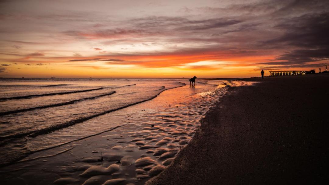 Photo of Others in Cleethorpes