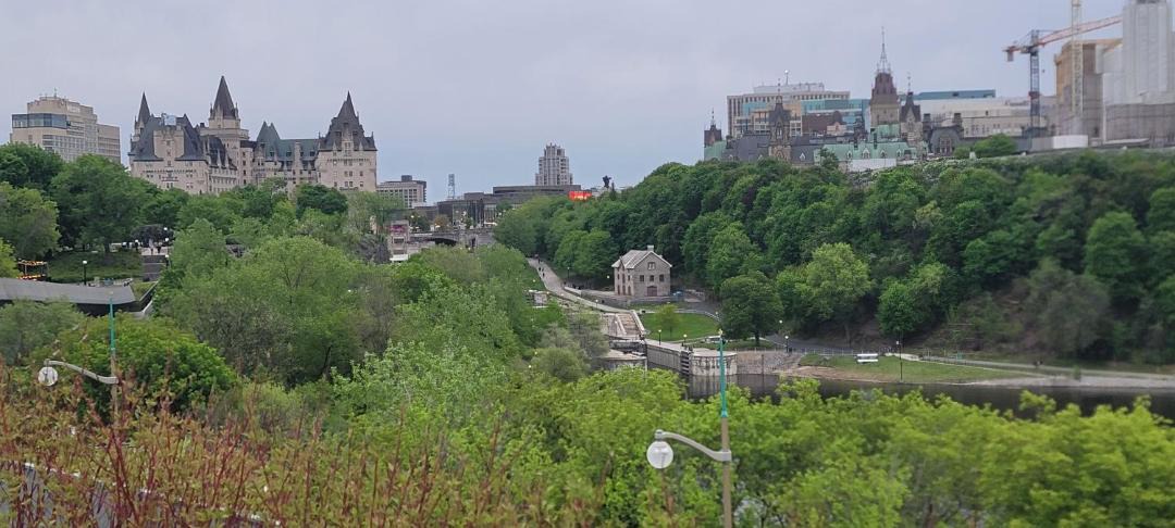 Photo of Others in Downtown Gatineau
