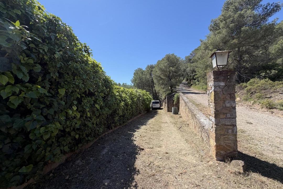 Photo of Others in Gualta