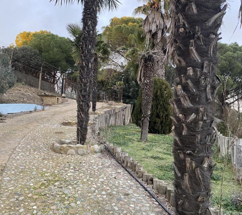 Photo of Others in Gualta
