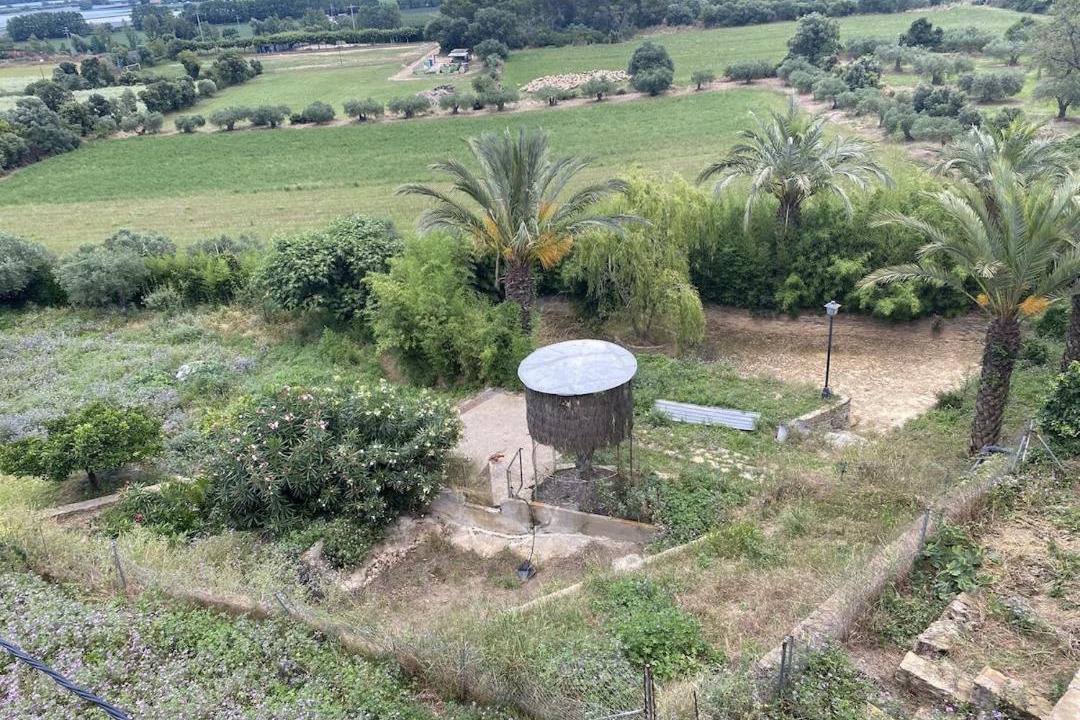 Photo of Others in Gualta