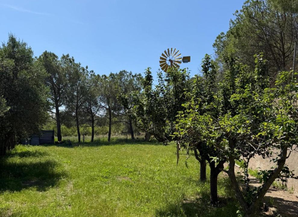 Photo of Others in Gualta