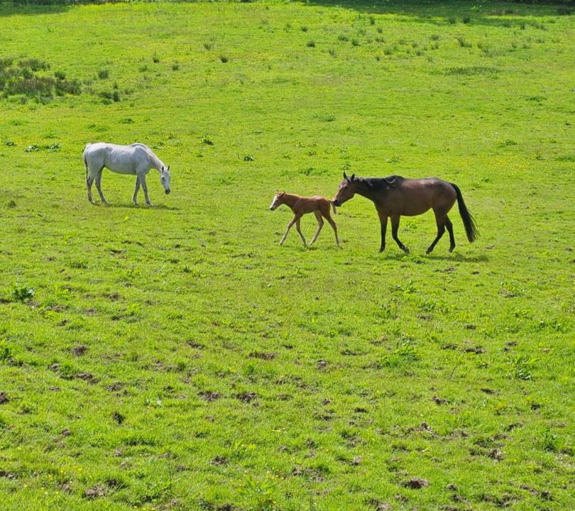 Photo of Others in Inverkip