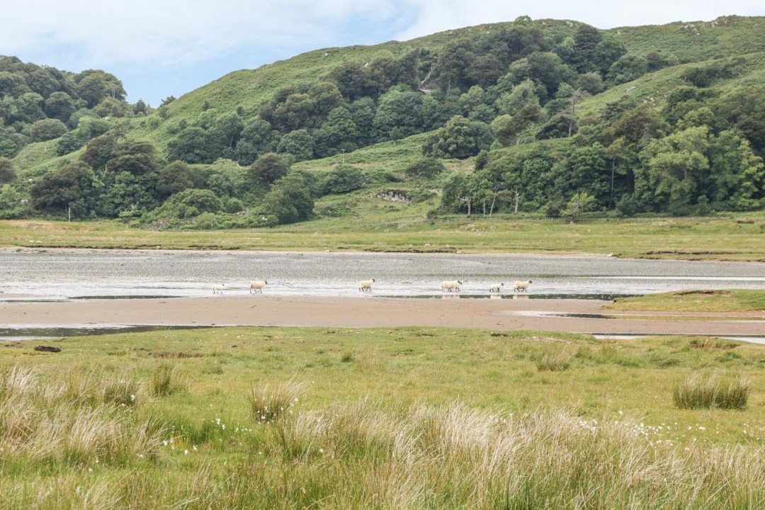 Photo of Others in Lochgilphead