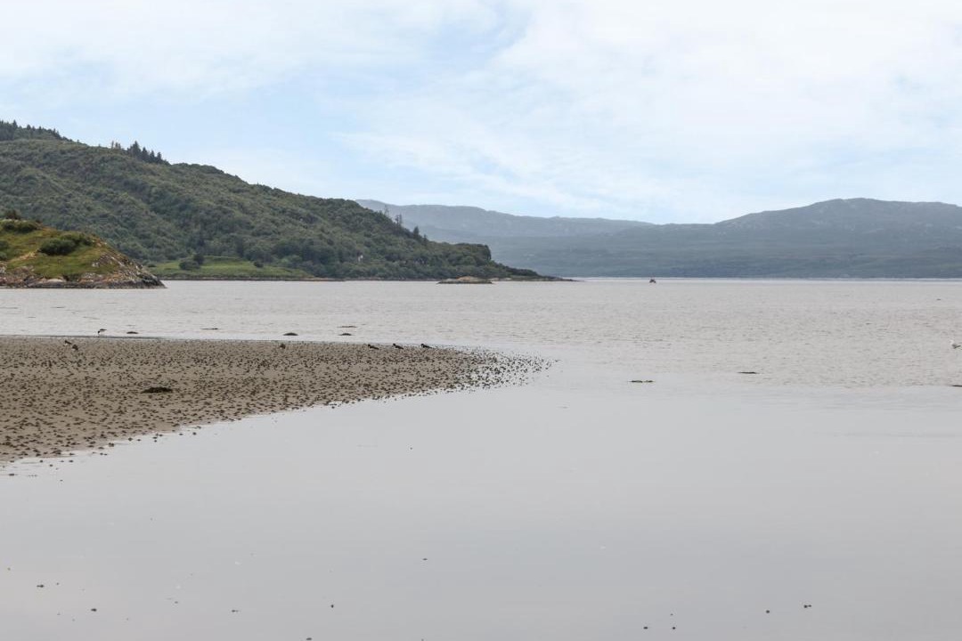 Photo of Others in Lochgilphead