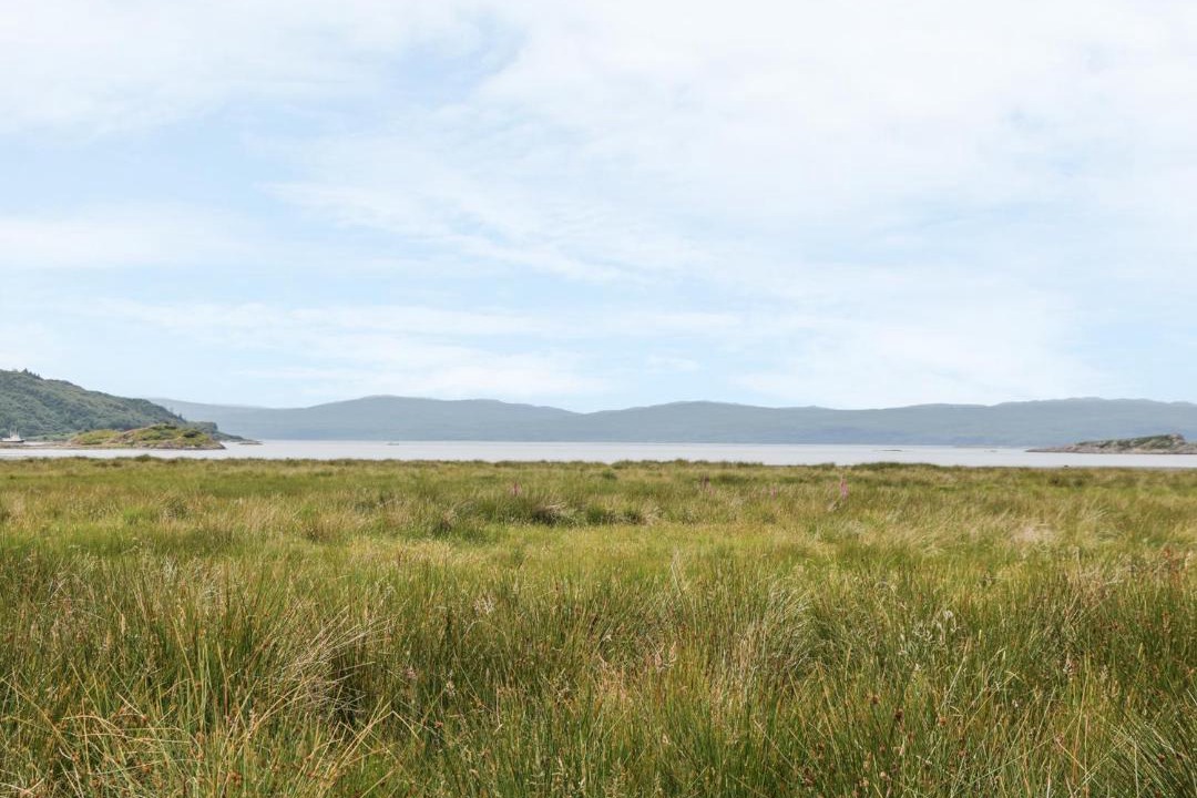 Photo of Others in Lochgilphead