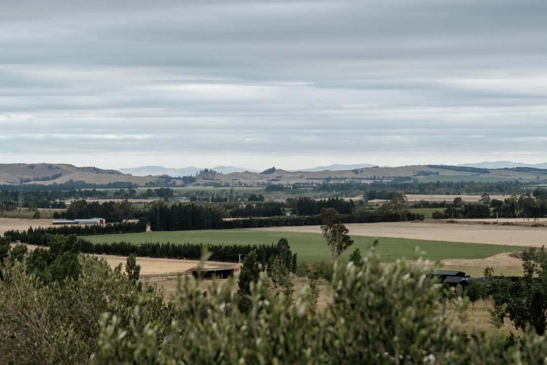Photo of Others in Waipara