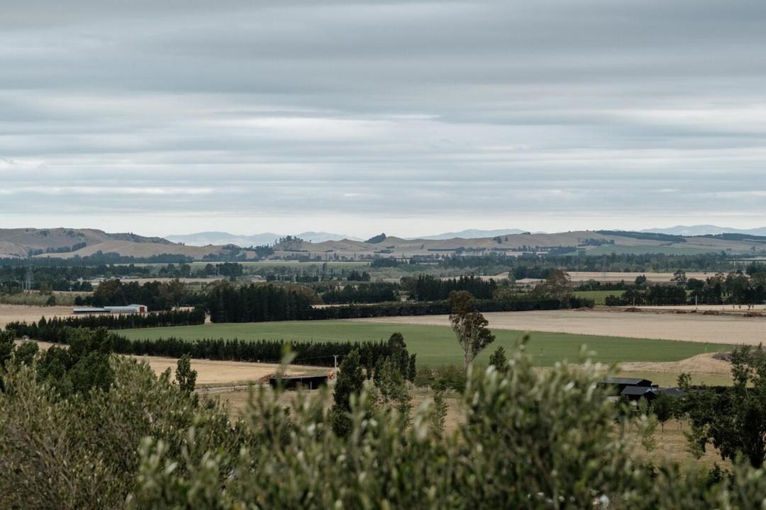 Photo of Others in Waipara