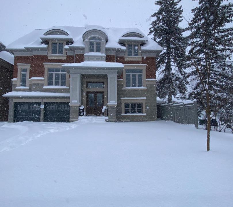 Photo of Others in Newtonbrook