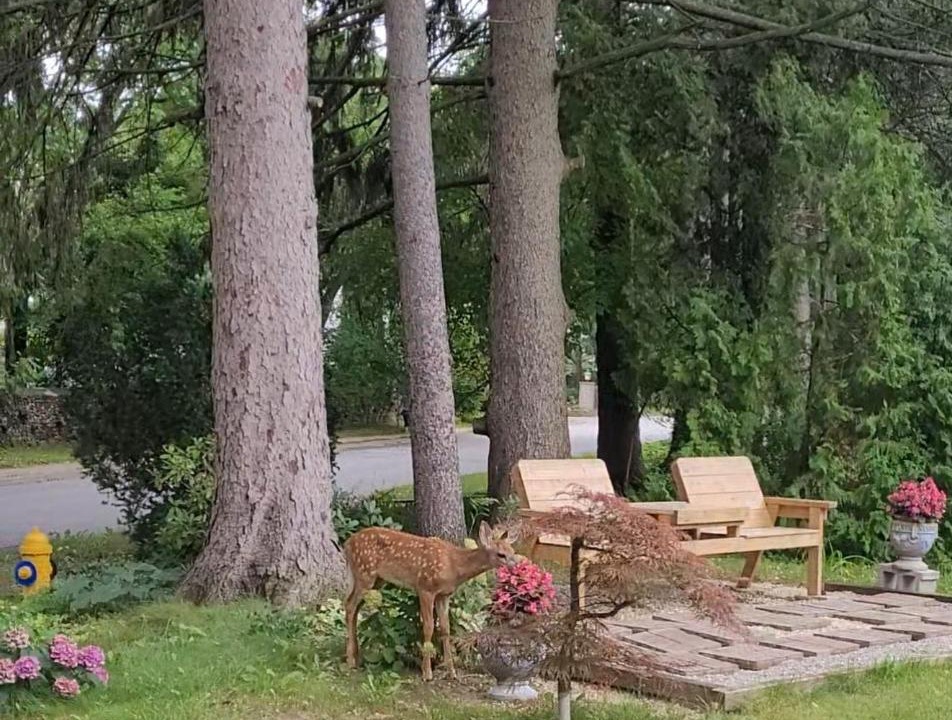 Photo of Others in Niagara-on-the-Lake