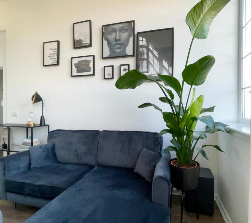 Photo of Livingroom in East Pilton