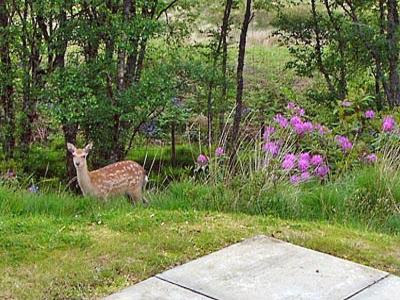Photo of Others in Lochgilphead