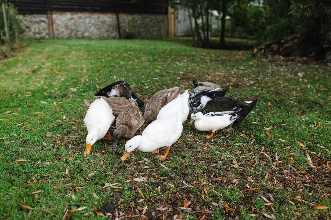 Photo of Others in Willesborough