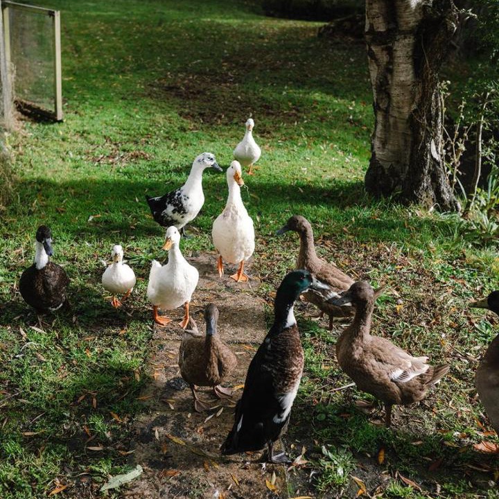 Photo of Others in Willesborough