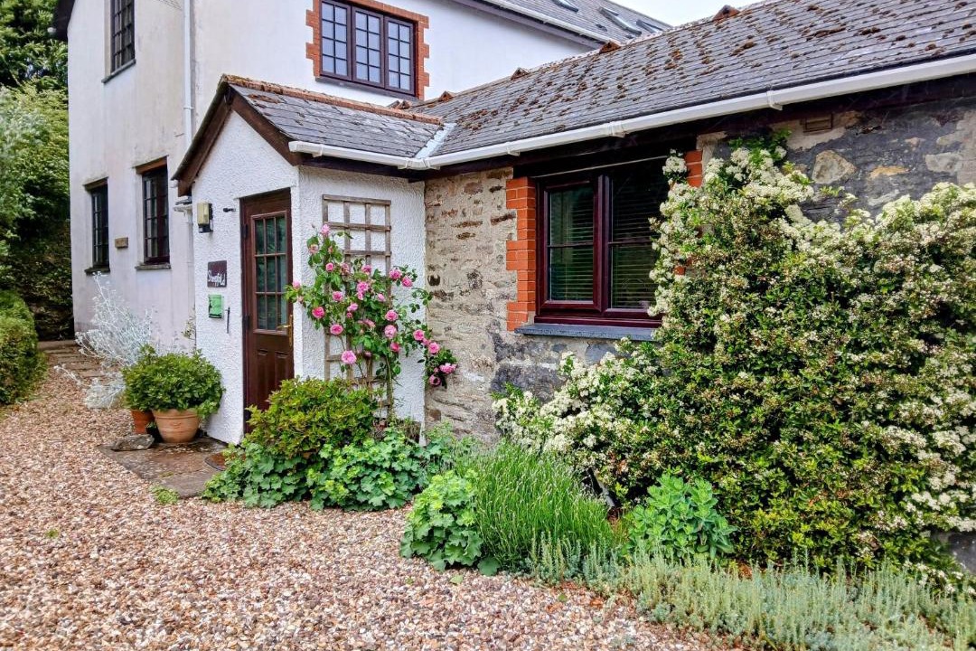 Photo of Others in Dulverton
