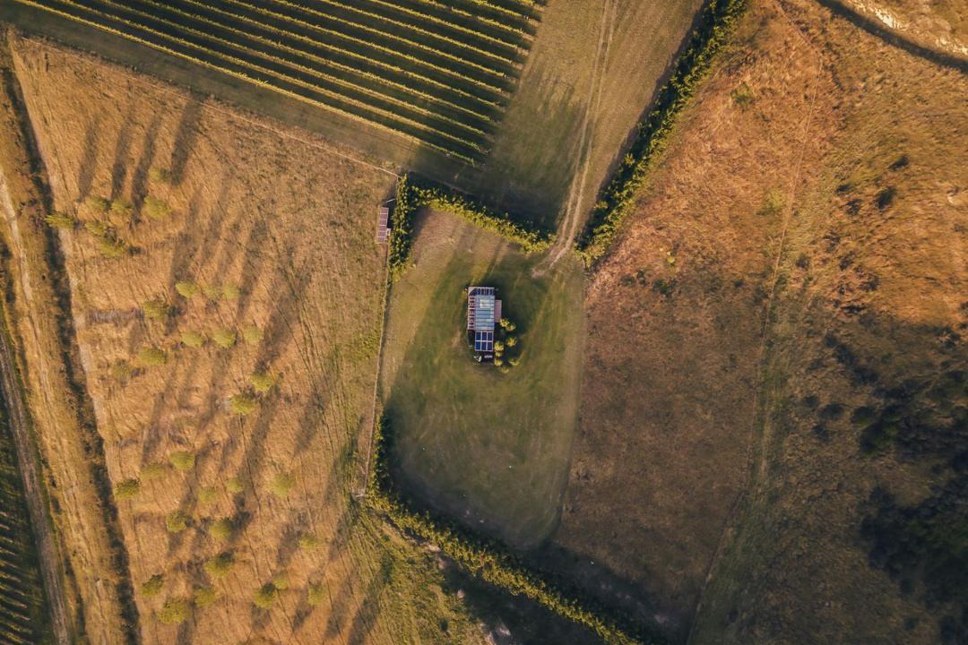 Photo of Others in Waipara