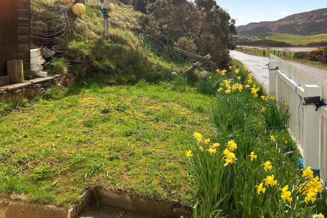 Photo of Others in Thurso