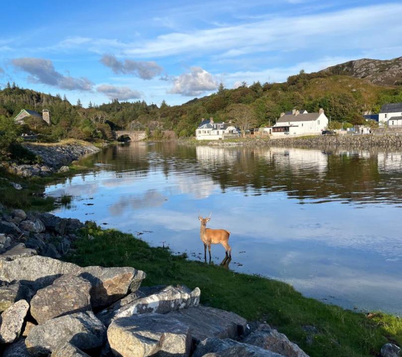 Photo of Others in Lochinver