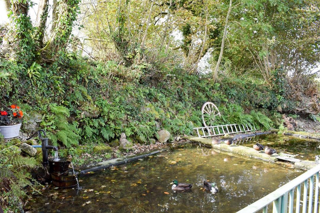 Photo of Others in Tan-y-groes