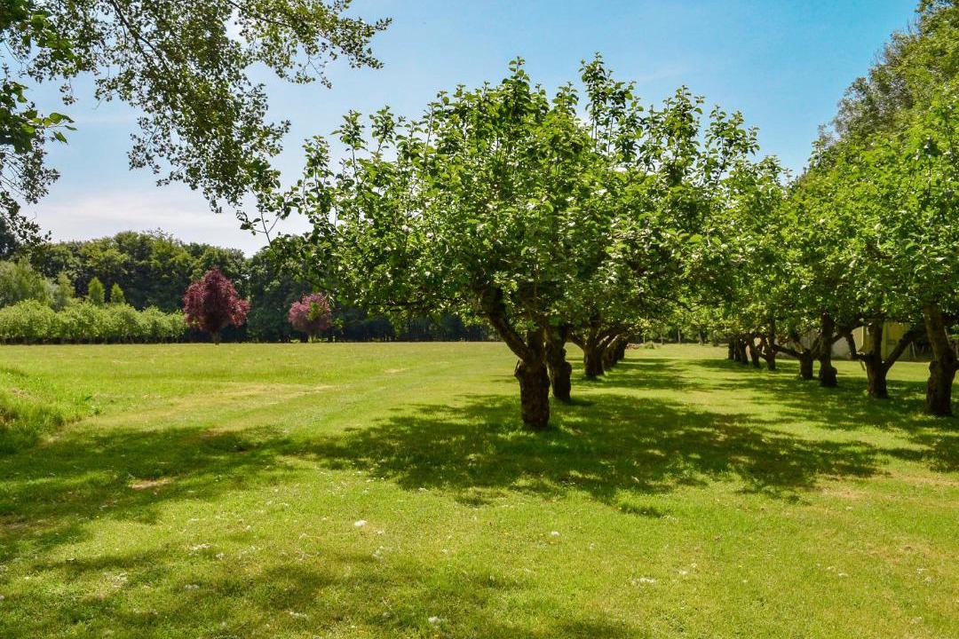 Photo of Outdoor in Abbess Roding