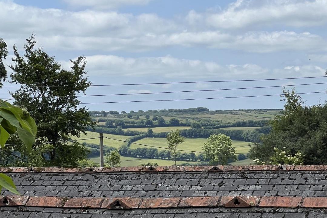 Photo of Others in Dulverton