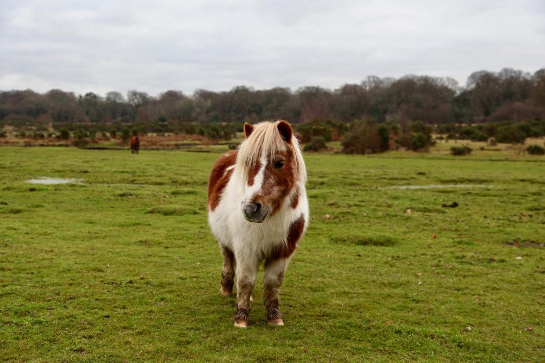 Photo of Others in Burley