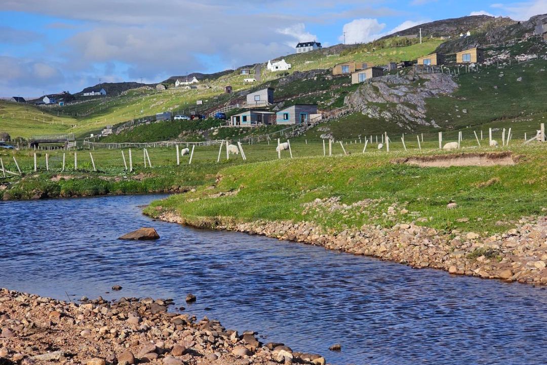 Photo of Others in Oldshoremore