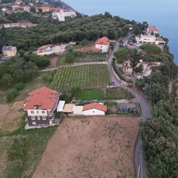 Photo of Others in Agerola