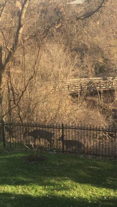 Photo of Others in Bayview Woods - Steeles