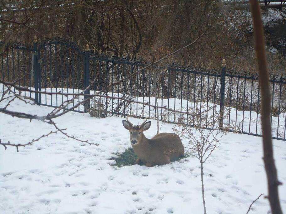 Photo of Others in Bayview Woods - Steeles