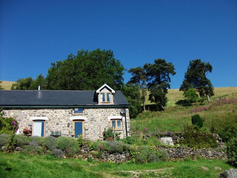 Photo of Others in Llanwrtyd Wells