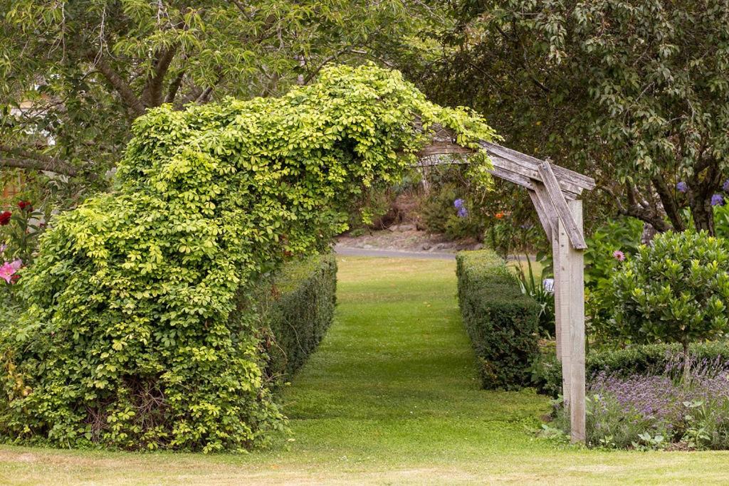 Photo of Others in Akaroa