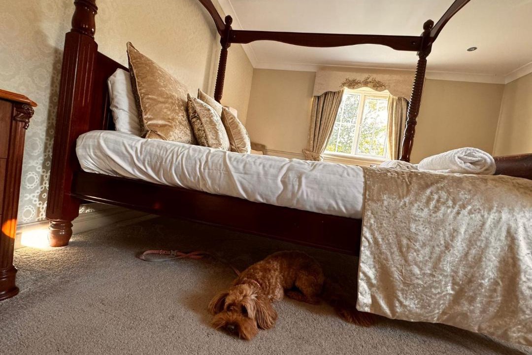 Photo of Bedroom in North Killingholme